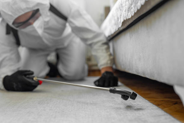 Professional Termite Control technician working in Larimore, ND