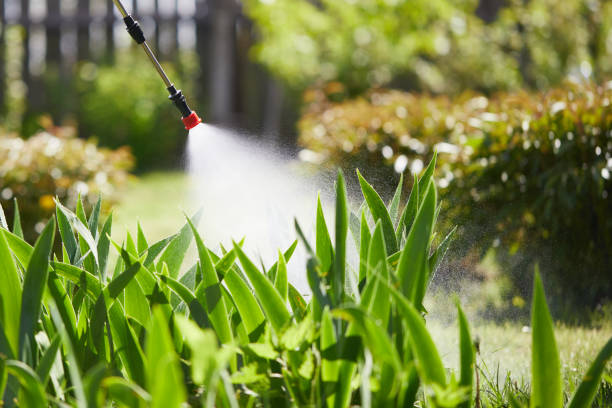 24/7 Emergency Termite Control experts in Larimore, ND